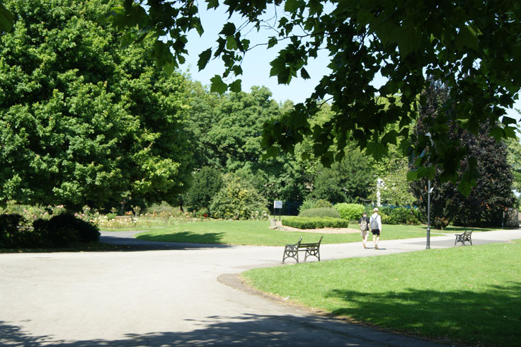 Two people walking through the park.